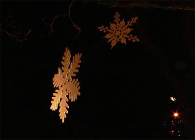 g3/34/494634/3/54270539.46Snoflke.jpg