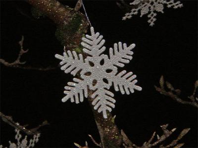 Another Snowflake Effect