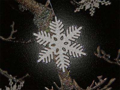 Snowflake Wrapped in Plastic