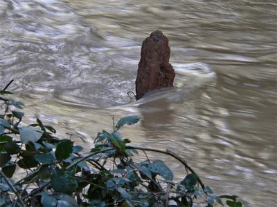Water Logged