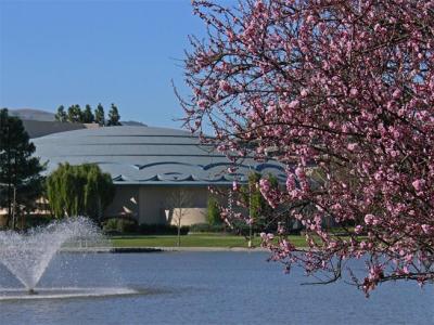 Marin Veteran's Auditorium - Signs of Spring