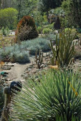 View of the Cactus Gardens
