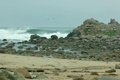 Breaking Wave on a Dreary Day