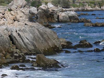 Rocky Shore