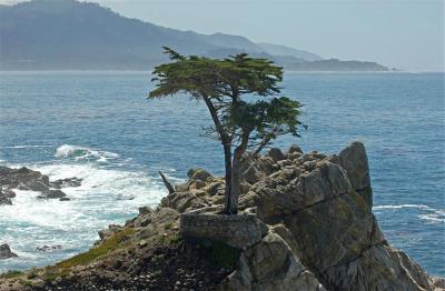 Monterey and Carmel, California