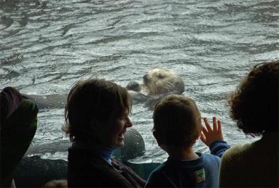 The Otter Tank is Always a Hit