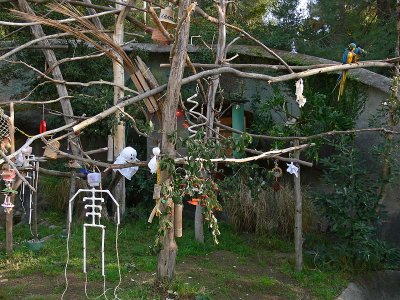 Macaws' Trees for Halloween