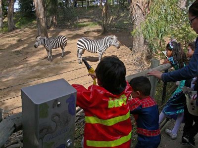 Zebra & Kids