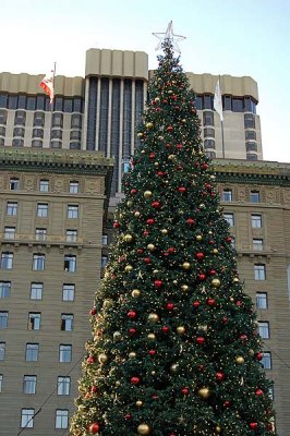 Tree and St. Francis Hotel
