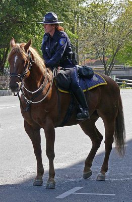 Mounted Police