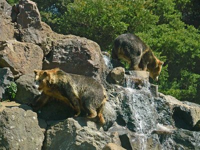 Bear Mountain