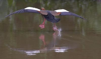 Take-off from a different angle