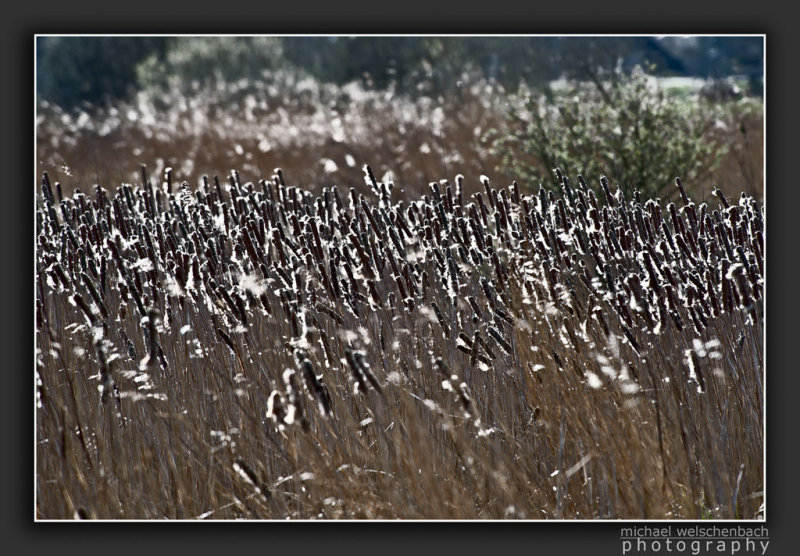 Nationaal Park De Alde Feanen