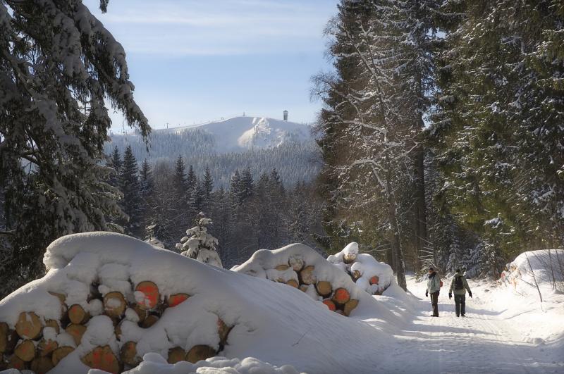 Hiking Trail to Feldberg/Black Forest