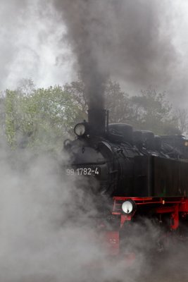 Steam Train Rasender Roland, Island of Ruegen