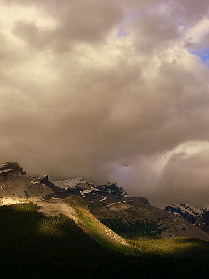 JASPER PARK #1.JPG