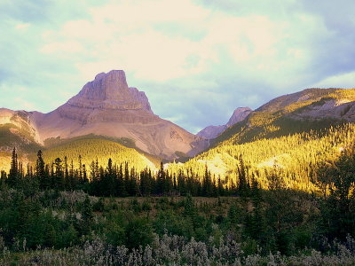 JASPER PARK #3.JPG