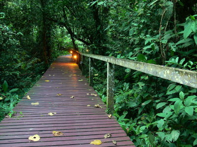 BOARDWALK AT DUSK.JPG