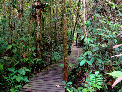 WINDING WALK.JPG