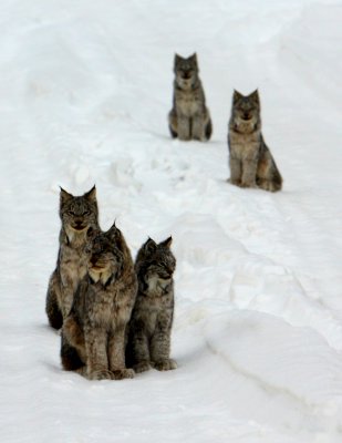 FAMILY PORTRAIT.jpg