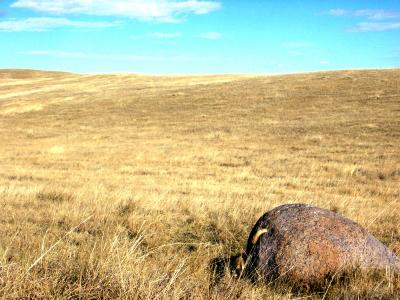 RUBBING ROCK 3.JPG