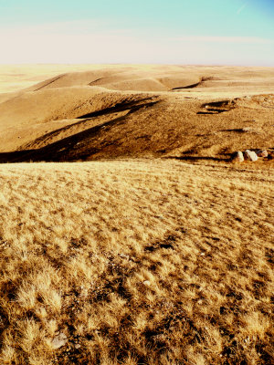 ROLLING PRAIRIE.JPG