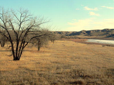 RIPARIAN VISTA.JPG