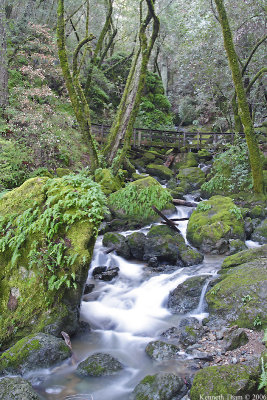 Marin County Scenes