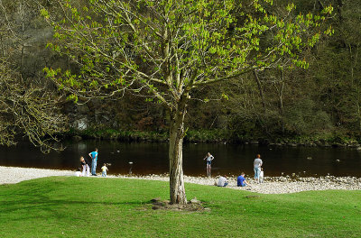g3/34/554134/3/123935012.DCRtr3GA.jpg