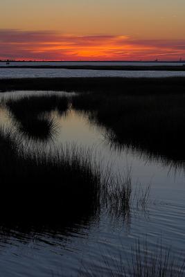 Marshland Sunset