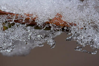 Ice Intricacies