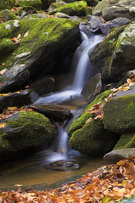 Mossy Cascade