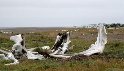 Whale bones, Gambell Alaska