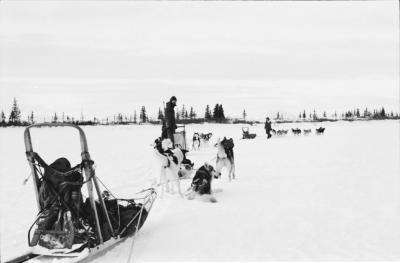 g3/34/579634/3/54505941.dogdriving2.jpg