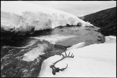 buffalo_creek3.jpg