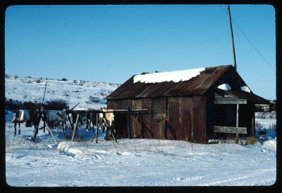 Cabin with reindeer hides