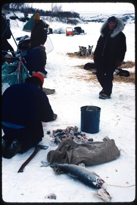 Ray Lang camp