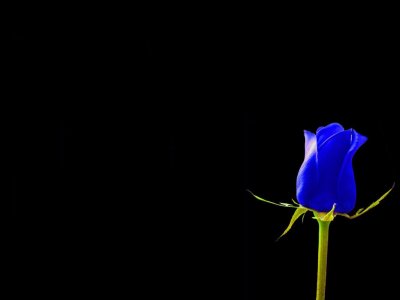 blue.jpg