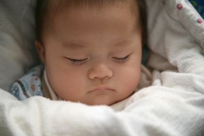 IMG_7948P.jpg