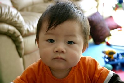 IMG_8690psp.jpg