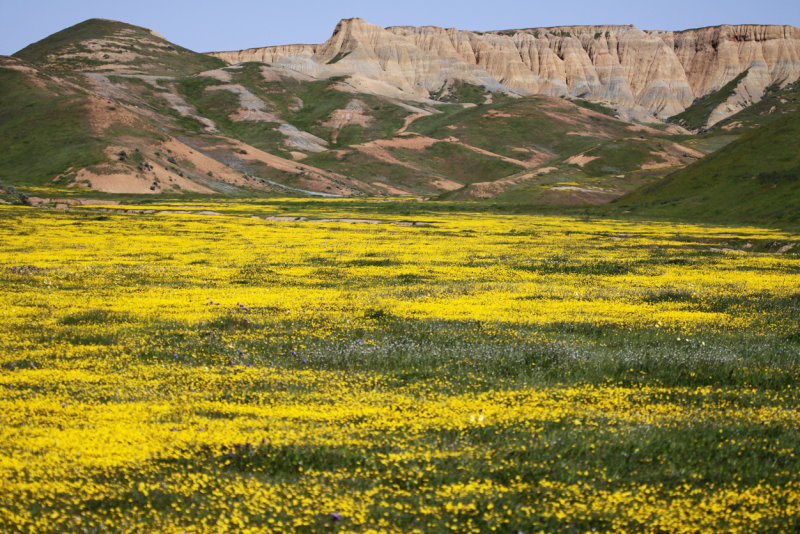 Little Panoche Rd - Fresno County