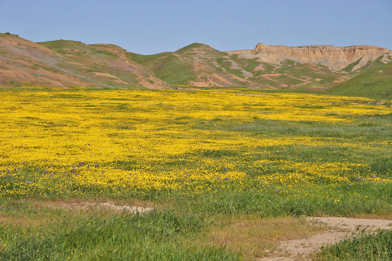 Northwestern Fresno County