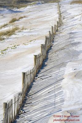 Dune Fence.jpg