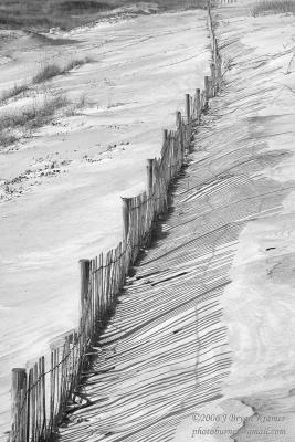 Dune Fence -bw.jpg