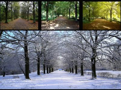 Different Seasons.jpg