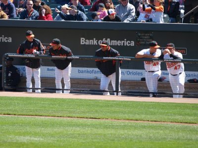 OriolesRays010.jpg