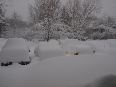 Snow-Feb-2010-002.jpg