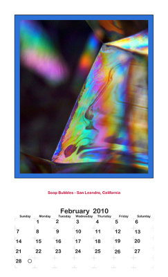 2010 Portrait Calendar - February