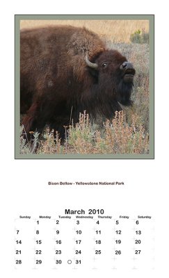 2010 Portrait Calendar - Yellowstone Country - March