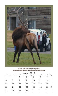 2010 Portrait Calendar - Yellowstone Country - June